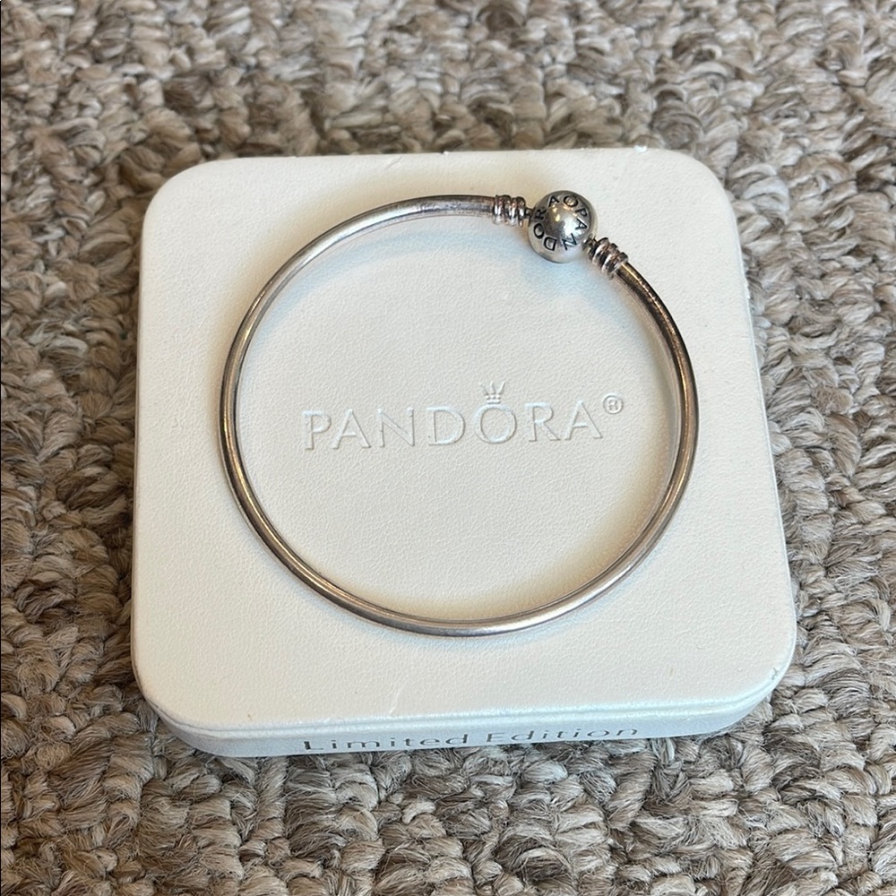 NWOT Pandora Silver Moments Bangle